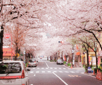 /album/like-ha-tetszik-es-jonnek-az-ujak-d/alap-28-png/